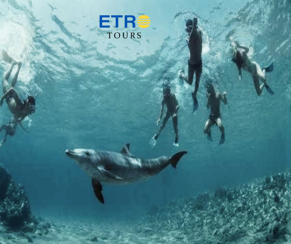Samadai Reef (Dolphin House)