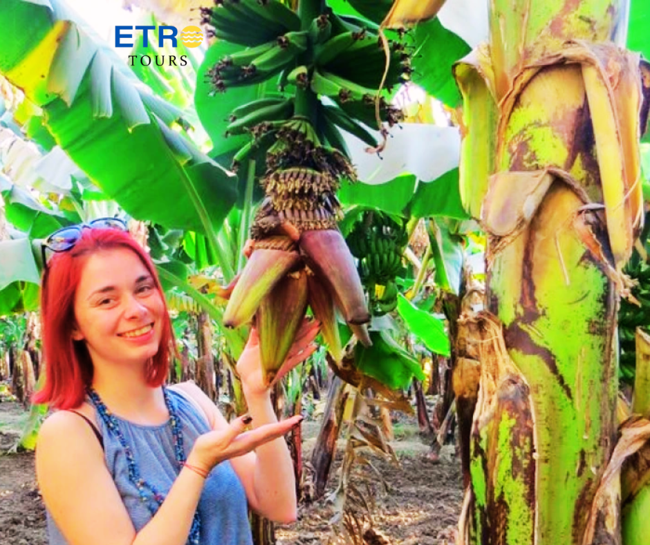 Banana Island