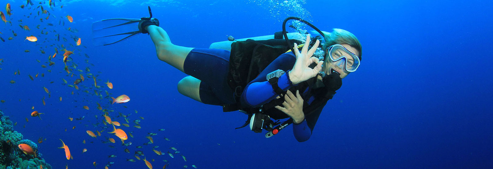 Snorkeling Trip At Port Ghalib Marina from Marsa Alam
