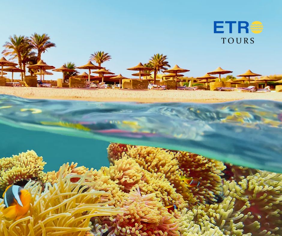 Scuba & Snorkeling in Sharm El Sheikh