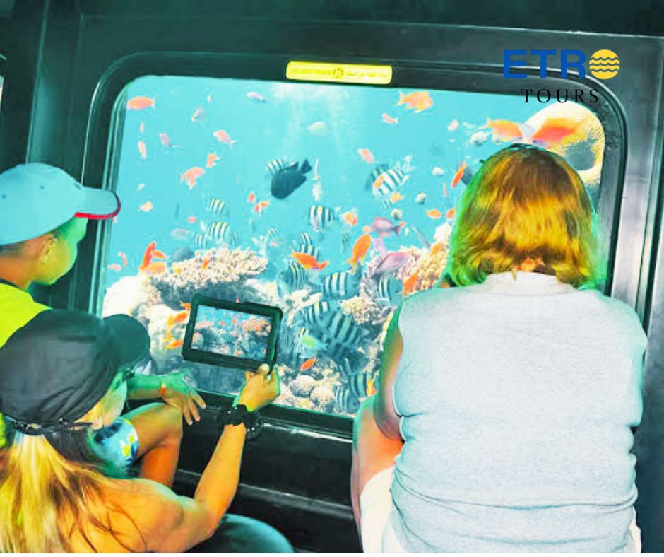 A tour of the Sea Scope submarine in Sharm El Sheikh and viewing coral reefs
